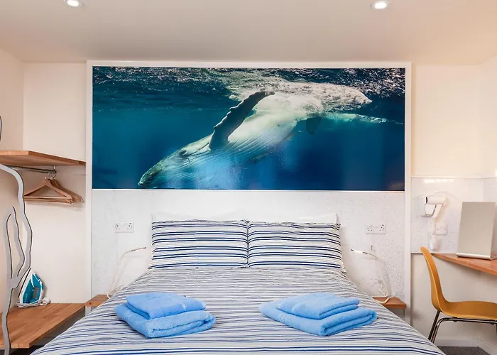 Compact Room, Free Private Parking