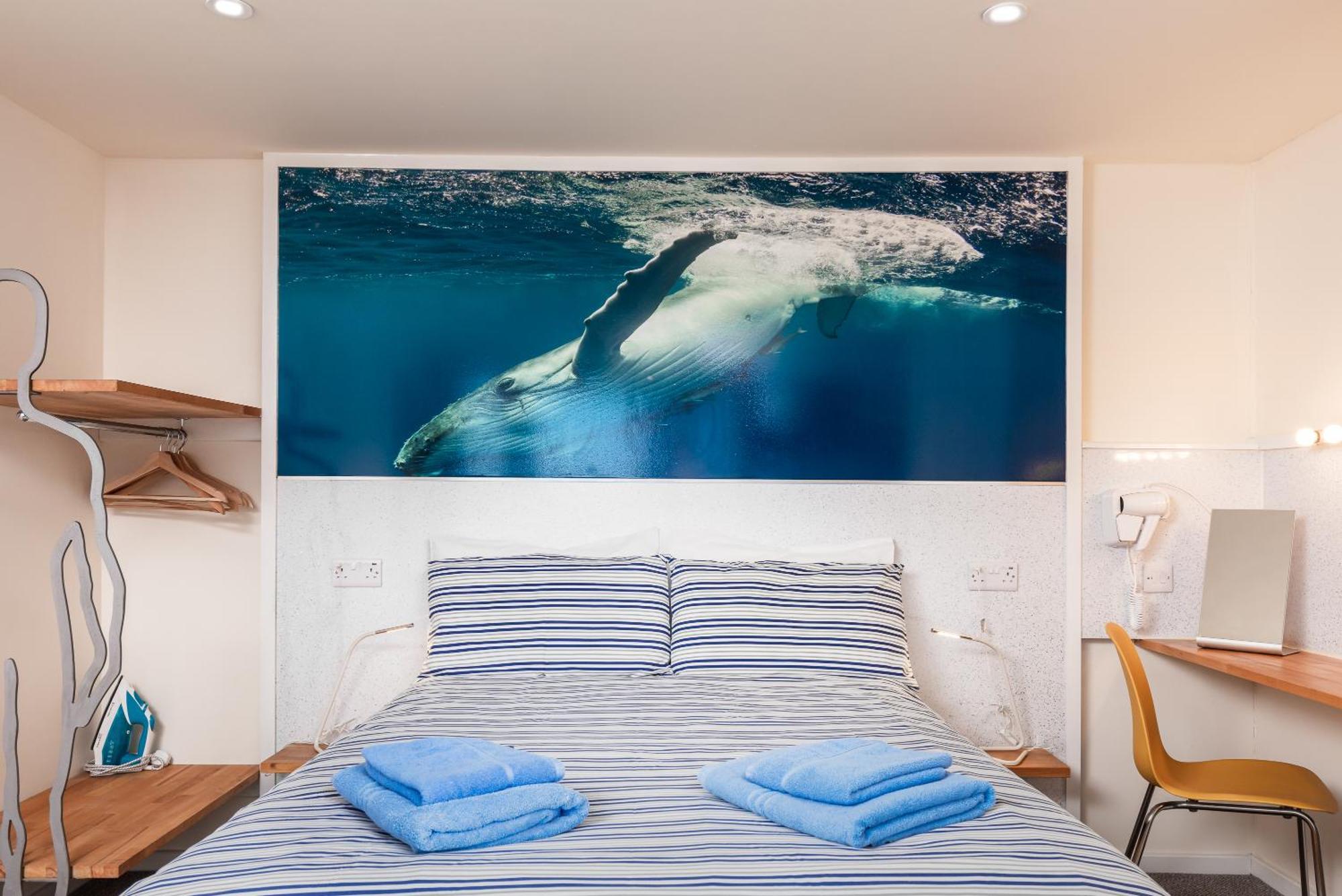 Compact Room, Free Private Parking